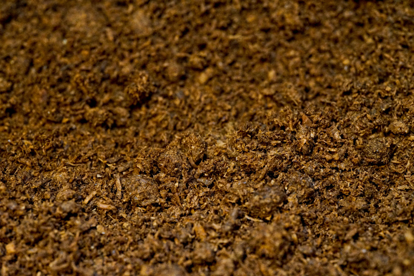 Stag beetle flake soil